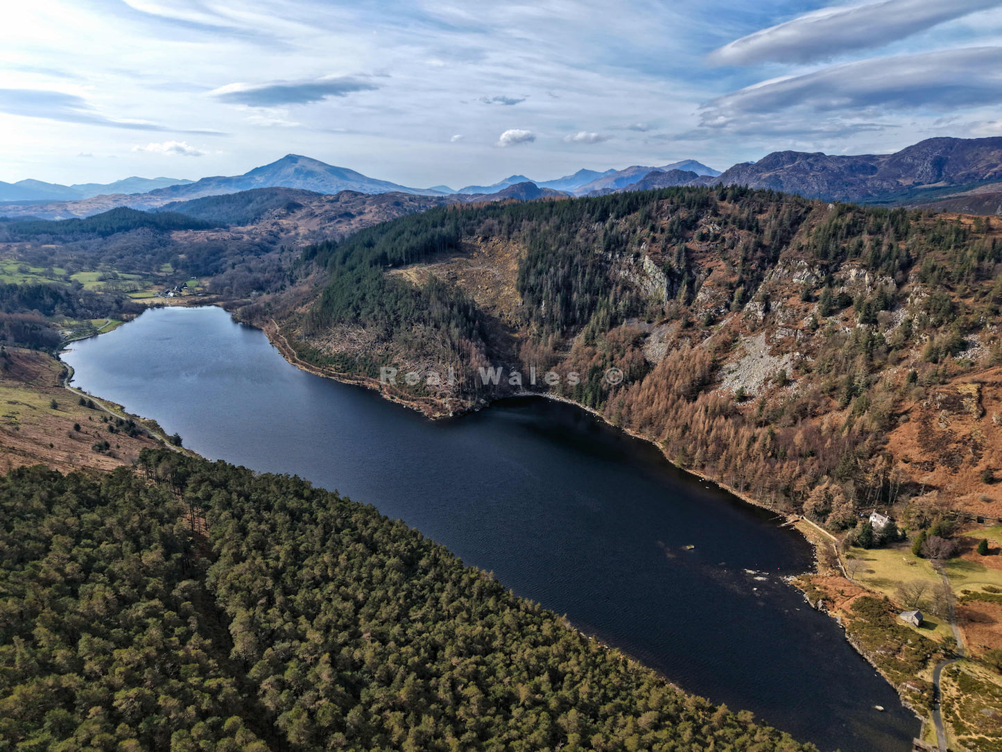 The Forest's Secret (Llyn Geirionydd)